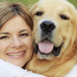 Alles over de Hond