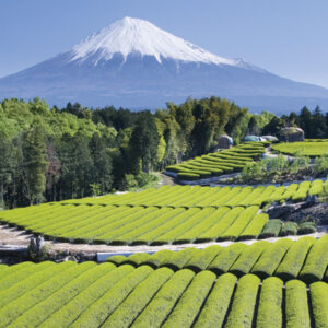 Japans