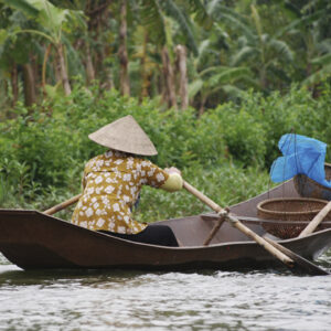 Vietnamees
